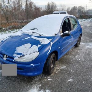 PEUGEOT 206 PHASE 1