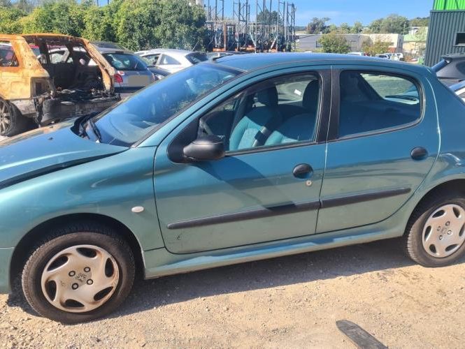 PEUGEOT 206 PHASE 1