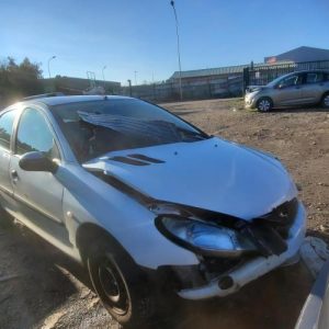 PEUGEOT 206 PHASE 1