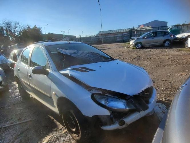 PEUGEOT 206 PHASE 1