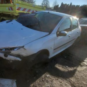 PEUGEOT 206 PHASE 1