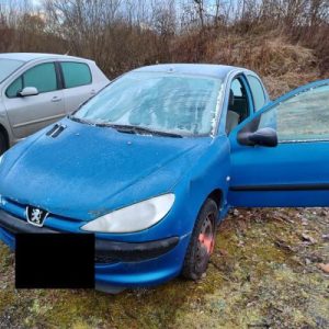 PEUGEOT 206 PHASE 1