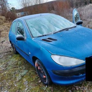 PEUGEOT 206 PHASE 1