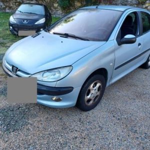 PEUGEOT 206 PHASE 1