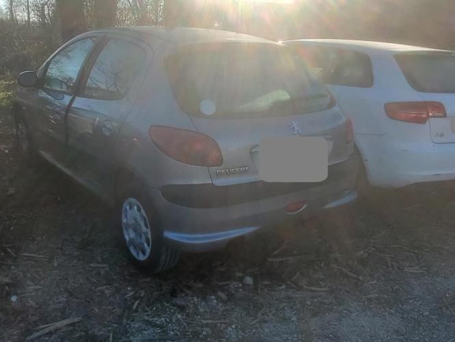 PEUGEOT 206