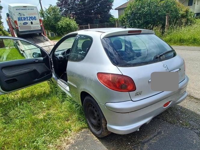 PEUGEOT 206