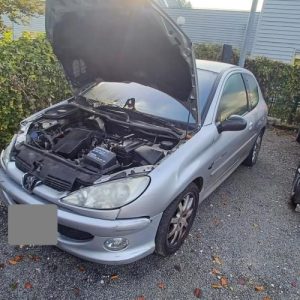PEUGEOT 206 PHASE 1