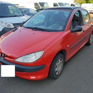 PEUGEOT 206 PHASE 1