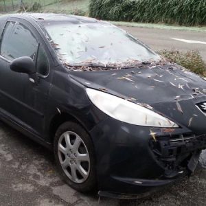 PEUGEOT 207 PHASE 1