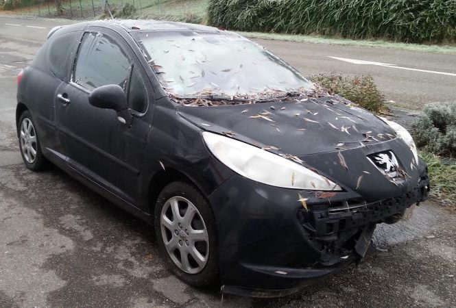 PEUGEOT 207 PHASE 1