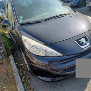 PEUGEOT 207 PHASE 1