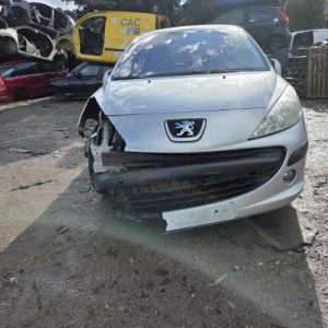 PEUGEOT 207 PHASE 1