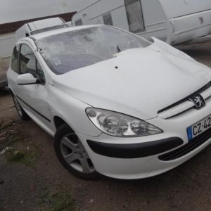 PEUGEOT 307 PHASE 1