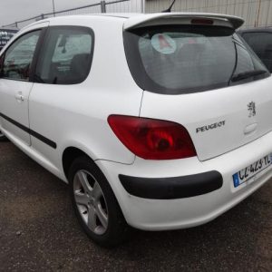 PEUGEOT 307 PHASE 1