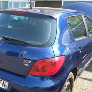 PEUGEOT 307 PHASE 1