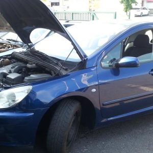 PEUGEOT 307 PHASE 1
