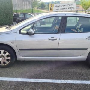 PEUGEOT 307 PHASE 1