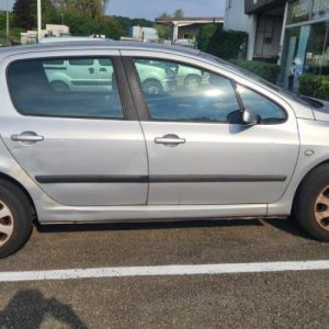 PEUGEOT 307 PHASE 1