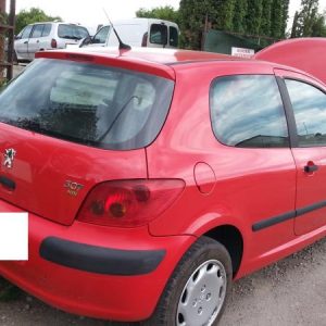 PEUGEOT 307 PHASE 1