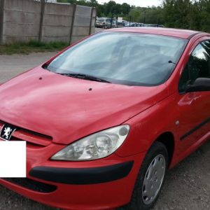 PEUGEOT 307 PHASE 1