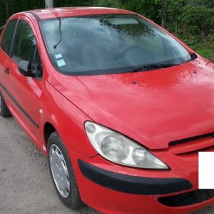 PEUGEOT 307 PHASE 1