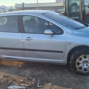PEUGEOT 307 PHASE 1