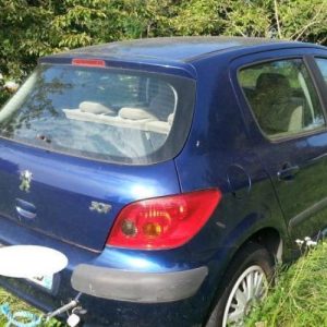 PEUGEOT 307 PHASE 1