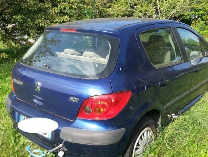 PEUGEOT 307 PHASE 1