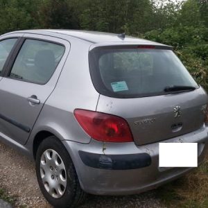 PEUGEOT 307 PHASE 1