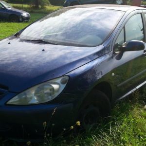 PEUGEOT 307 PHASE 1