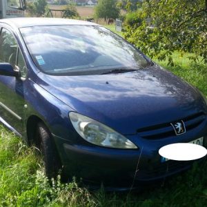 PEUGEOT 307 PHASE 1