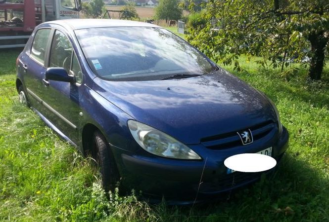 PEUGEOT 307 PHASE 1