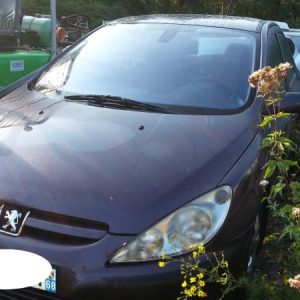 PEUGEOT 307 PHASE 1