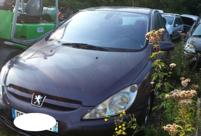 PEUGEOT 307 PHASE 1