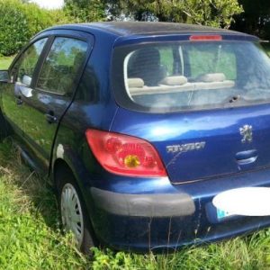 PEUGEOT 307 PHASE 1