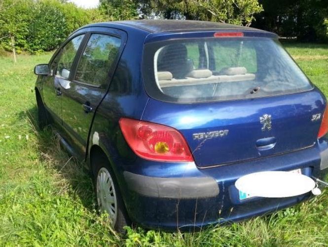 PEUGEOT 307 PHASE 1
