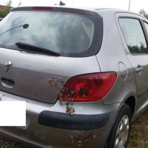 PEUGEOT 307 PHASE 1