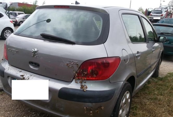 PEUGEOT 307 PHASE 1