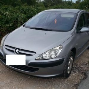 PEUGEOT 307 PHASE 1