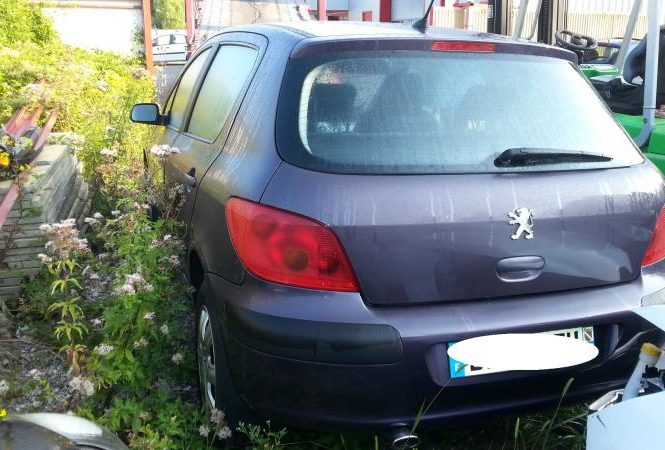 PEUGEOT 307 PHASE 1