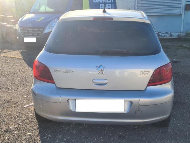 PEUGEOT 307 PHASE 1
