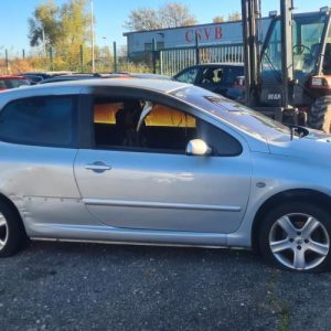 PEUGEOT 307 PHASE 1