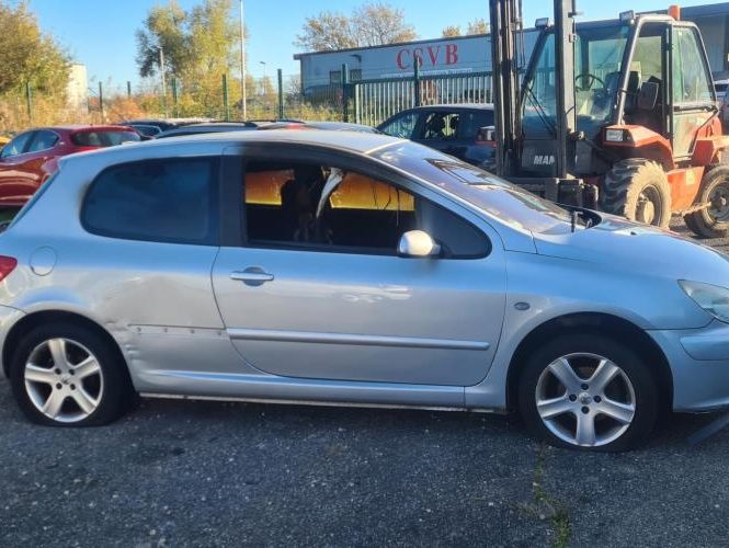 PEUGEOT 307 PHASE 1