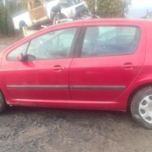 PEUGEOT 307 PHASE 1