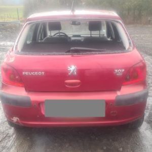 PEUGEOT 307 PHASE 1
