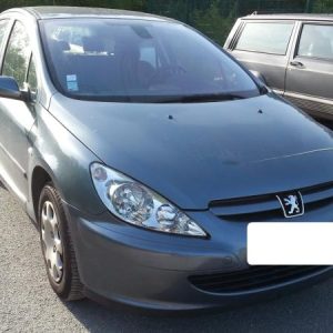 PEUGEOT 307 PHASE 1