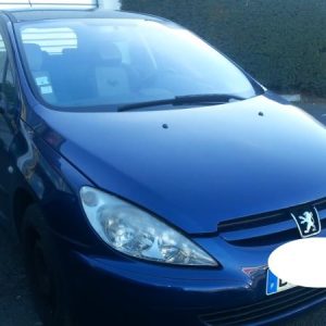 PEUGEOT 307 PHASE 1