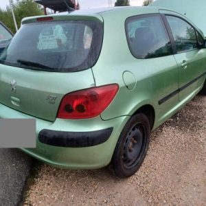 PEUGEOT 307 PHASE 1