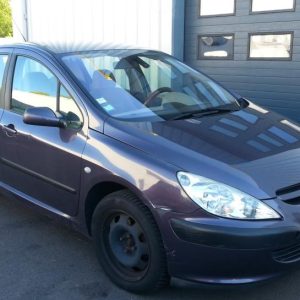 PEUGEOT 307 PHASE 1