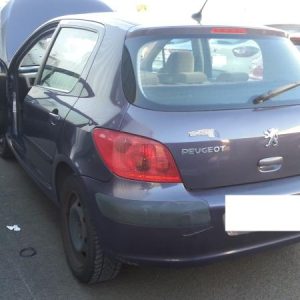 PEUGEOT 307 PHASE 1